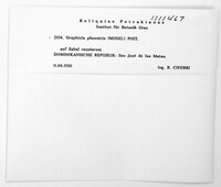 Graphiola phoenicis image